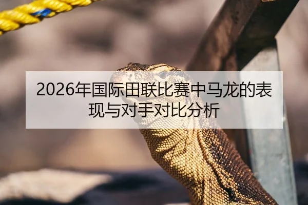 2026年国际田联比赛中马龙的表现与对手对比分析