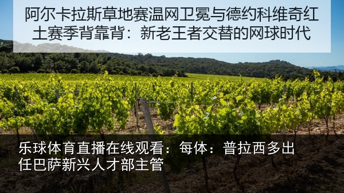 乐球体育直播在线观看：每体相关情况新兴人才部主管