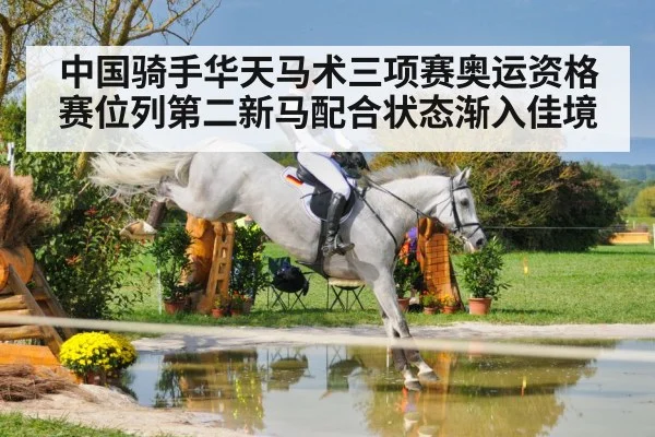 中国骑手华天马术三项赛奥运资格赛位列第二新马配合状态渐入佳境