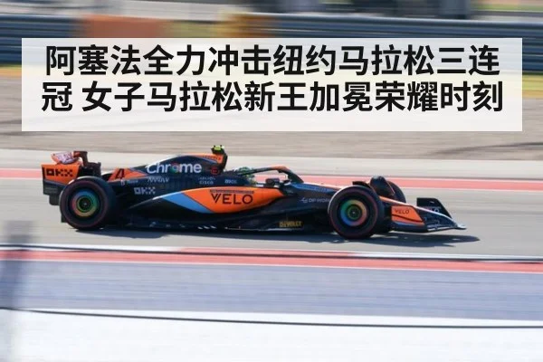 阿塞法全力冲击纽约马拉松三连冠 女子马拉松新王加冕荣耀时刻